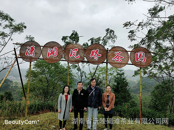 2019年天津客户来公司考察2