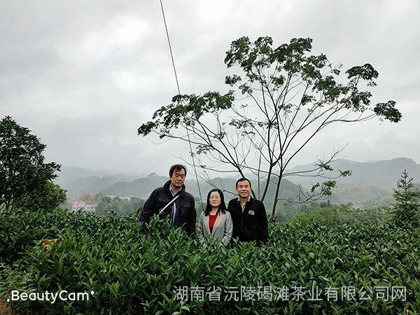 2019年天津客户来公司考察3