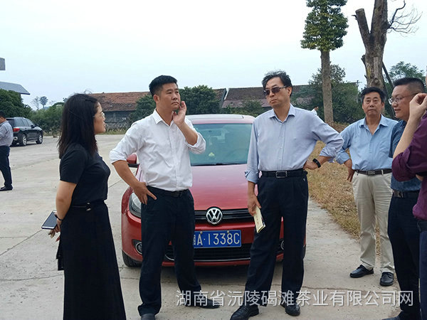 县领导及省农业厅领导茬临产业园区指导工作7