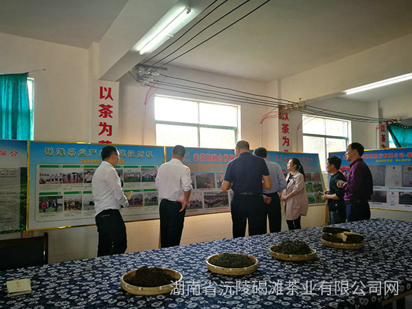 县领导及省农业厅领导茬临产业园区指导工作13