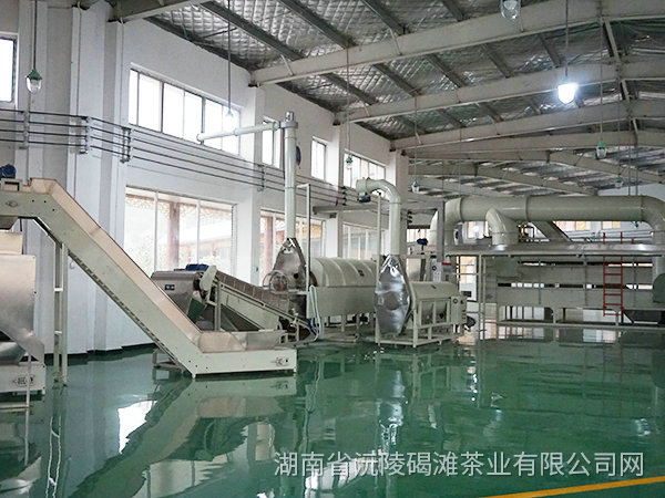 茶叶加工企业