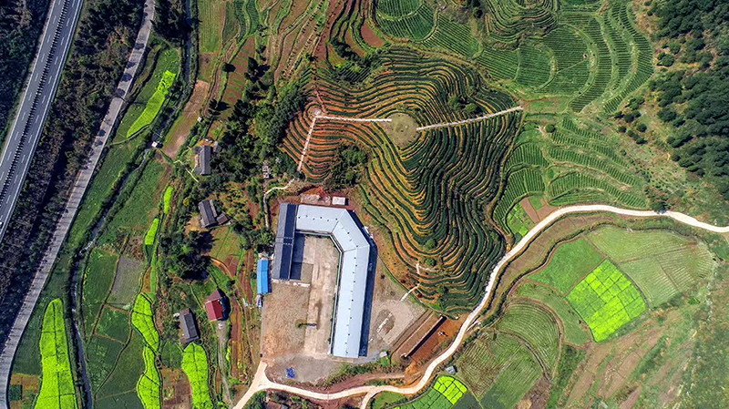 双腿中间被吸到发软的感觉-性色做爰片在线观看WW-亚洲va中文字幕无码久-国产亚洲精品不卡在线-人妻AV久久一区波多野结衣,沅陵茶园开发,茶叶加工,茶文化传播