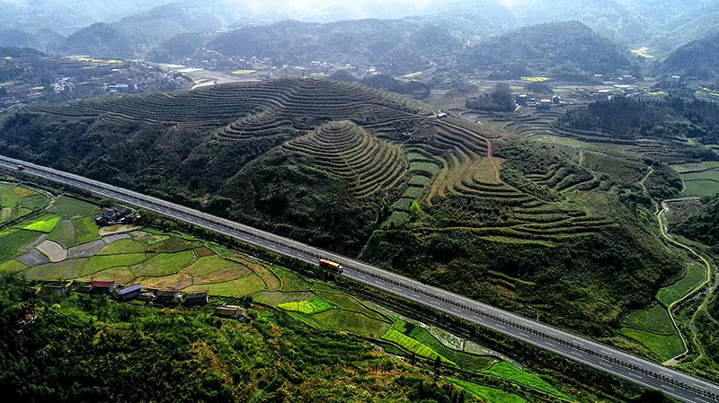 双腿中间被吸到发软的感觉-性色做爰片在线观看WW-亚洲va中文字幕无码久-国产亚洲精品不卡在线-人妻AV久久一区波多野结衣,沅陵茶园开发,茶叶加工,茶文化传播