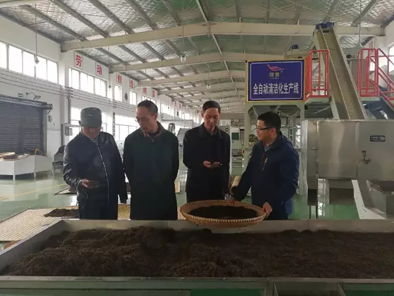 双腿中间被吸到发软的感觉