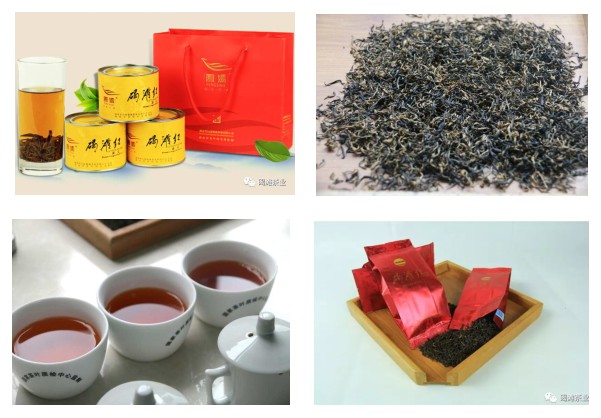 双腿中间被吸到发软的感觉-性色做爰片在线观看WW-亚洲va中文字幕无码久-国产亚洲精品不卡在线-人妻AV久久一区波多野结衣,沅陵碣滩茶,茶叶加工销售,茶文化传播