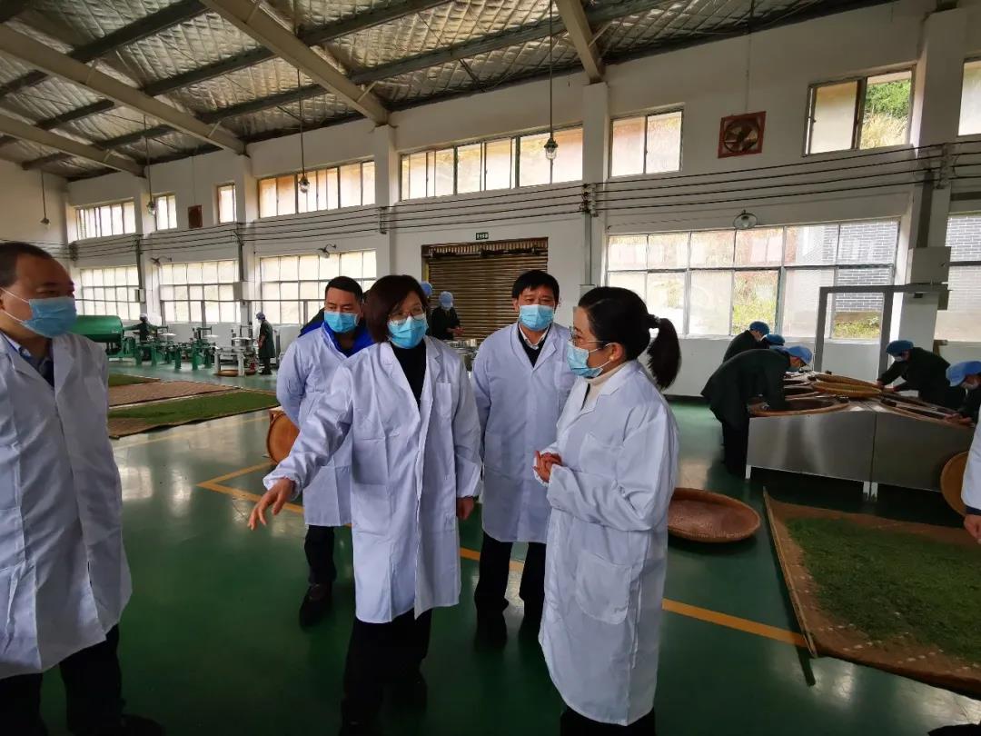 双腿中间被吸到发软的感觉-性色做爰片在线观看WW-亚洲va中文字幕无码久-国产亚洲精品不卡在线-人妻AV久久一区波多野结衣,沅陵碣滩茶,茶叶加工销售,茶文化传播