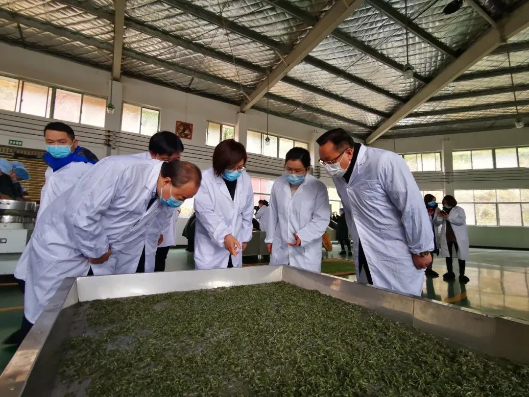 双腿中间被吸到发软的感觉-性色做爰片在线观看WW-亚洲va中文字幕无码久-国产亚洲精品不卡在线-人妻AV久久一区波多野结衣,沅陵碣滩茶,茶叶加工销售,茶文化传播