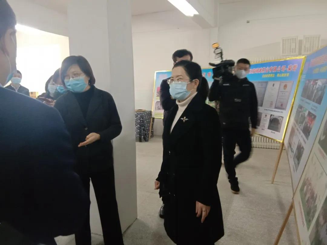 双腿中间被吸到发软的感觉-性色做爰片在线观看WW-亚洲va中文字幕无码久-国产亚洲精品不卡在线-人妻AV久久一区波多野结衣,沅陵碣滩茶,茶叶加工销售,茶文化传播