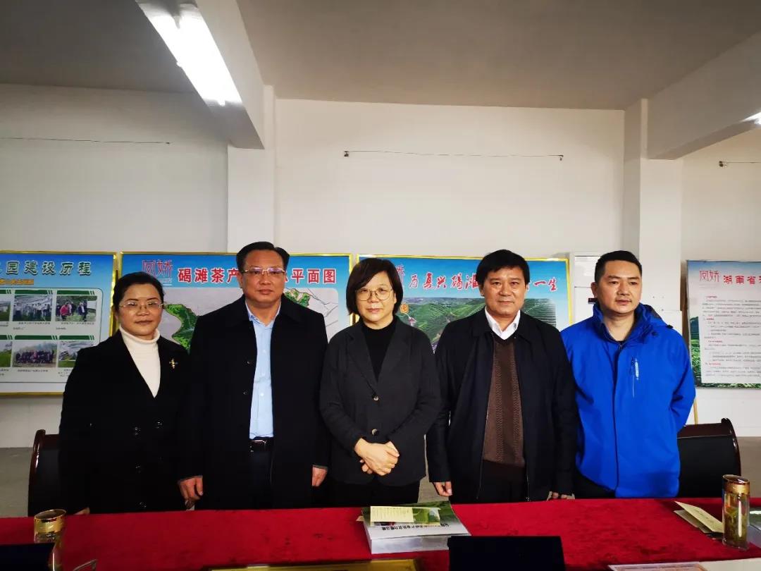 双腿中间被吸到发软的感觉-性色做爰片在线观看WW-亚洲va中文字幕无码久-国产亚洲精品不卡在线-人妻AV久久一区波多野结衣,沅陵碣滩茶,茶叶加工销售,茶文化传播