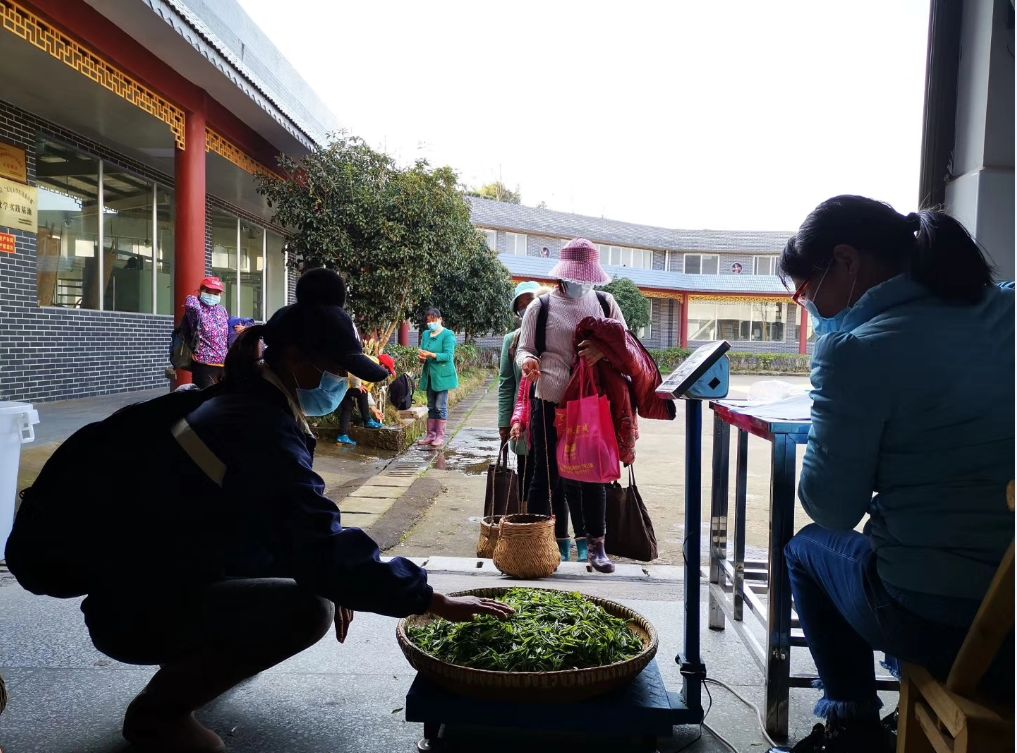 双腿中间被吸到发软的感觉-性色做爰片在线观看WW-亚洲va中文字幕无码久-国产亚洲精品不卡在线-人妻AV久久一区波多野结衣,沅陵碣滩茶,茶叶加工销售,茶文化传播