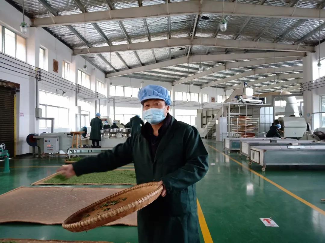 双腿中间被吸到发软的感觉-性色做爰片在线观看WW-亚洲va中文字幕无码久-国产亚洲精品不卡在线-人妻AV久久一区波多野结衣,沅陵碣滩茶,茶叶加工销售,茶文化传播