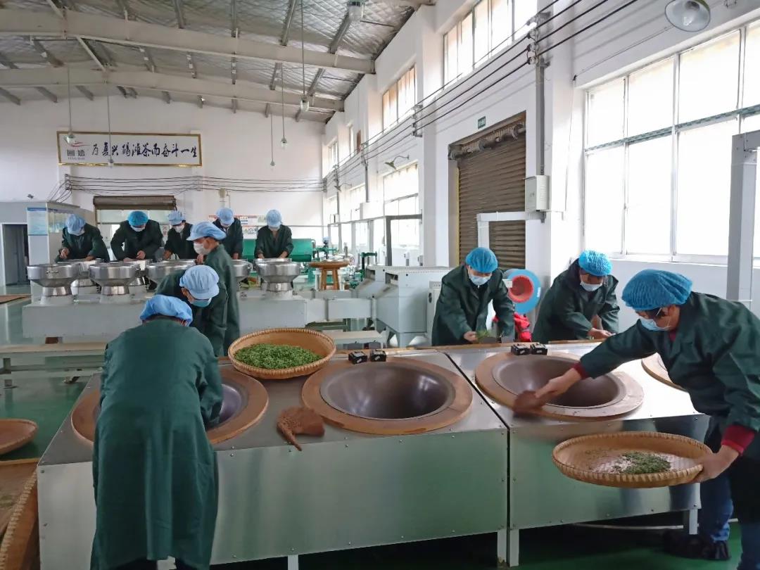 双腿中间被吸到发软的感觉-性色做爰片在线观看WW-亚洲va中文字幕无码久-国产亚洲精品不卡在线-人妻AV久久一区波多野结衣,沅陵碣滩茶,茶叶加工销售,茶文化传播