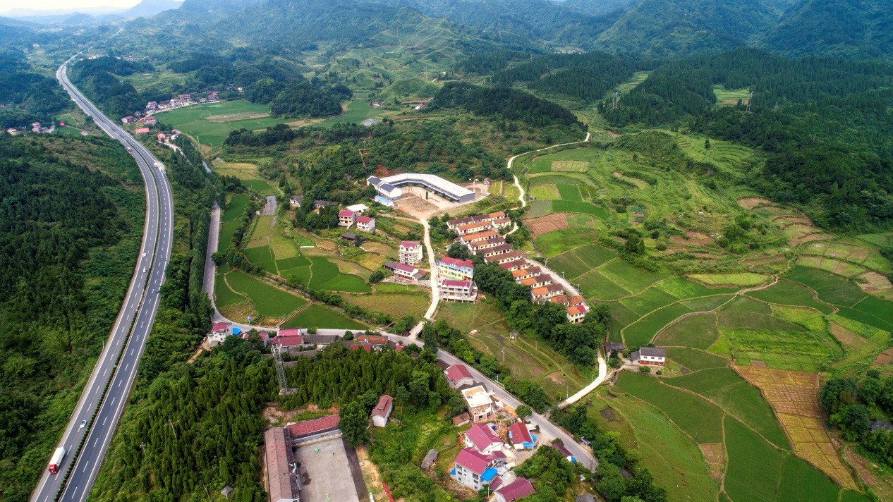 双腿中间被吸到发软的感觉-性色做爰片在线观看WW-亚洲va中文字幕无码久-国产亚洲精品不卡在线-人妻AV久久一区波多野结衣,沅陵碣滩茶,茶叶加工销售,茶文化传播