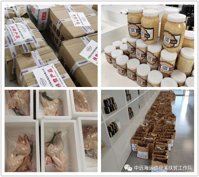 双腿中间被吸到发软的感觉-性色做爰片在线观看WW-亚洲va中文字幕无码久-国产亚洲精品不卡在线-人妻AV久久一区波多野结衣,沅陵碣滩茶,茶叶加工销售,茶文化传播