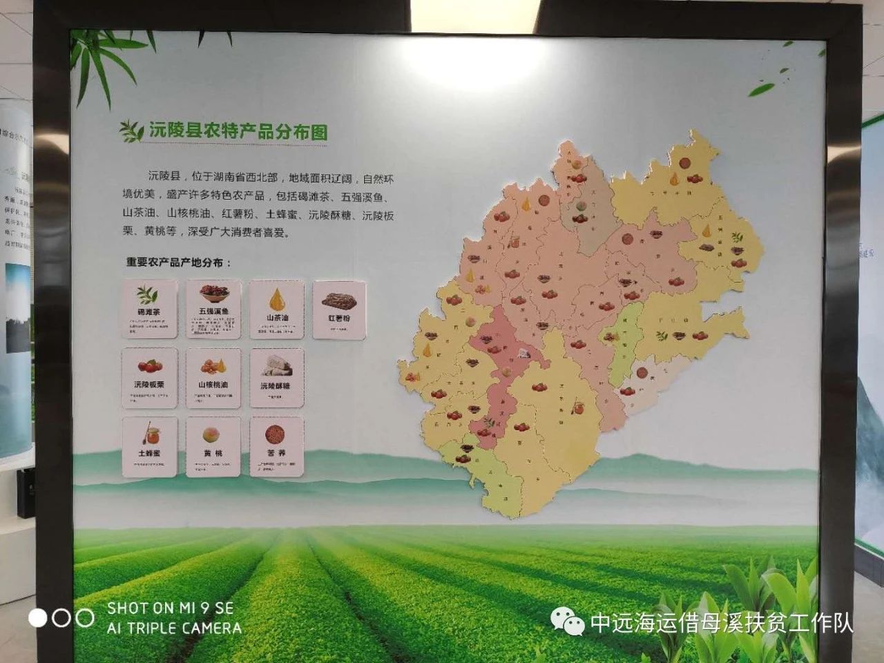 双腿中间被吸到发软的感觉-性色做爰片在线观看WW-亚洲va中文字幕无码久-国产亚洲精品不卡在线-人妻AV久久一区波多野结衣,沅陵碣滩茶,茶叶加工销售,茶文化传播