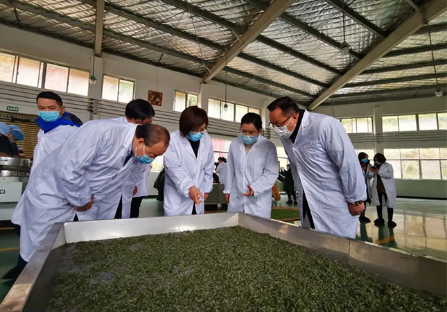 双腿中间被吸到发软的感觉