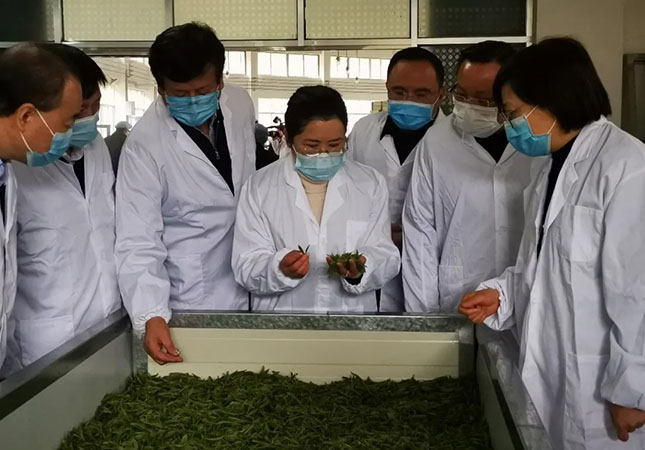 双腿中间被吸到发软的感觉