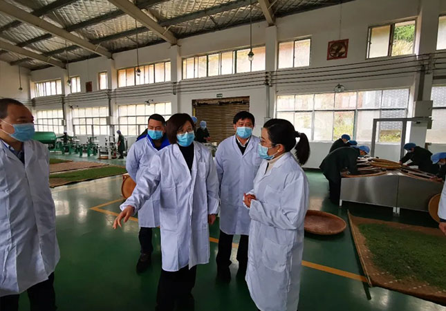 双腿中间被吸到发软的感觉