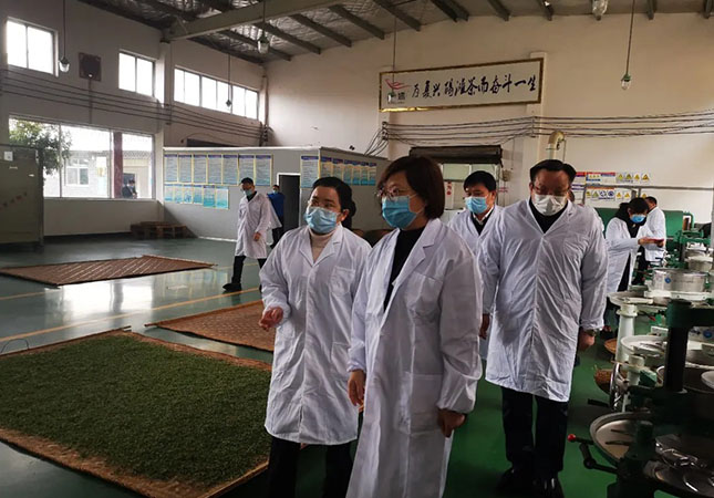 双腿中间被吸到发软的感觉