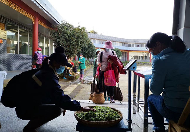 双腿中间被吸到发软的感觉