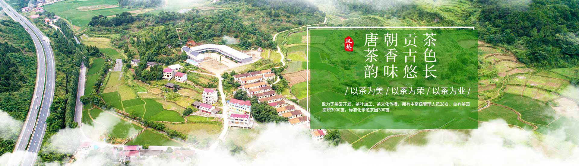 双腿中间被吸到发软的感觉-性色做爰片在线观看WW-亚洲va中文字幕无码久-国产亚洲精品不卡在线-人妻AV久久一区波多野结衣